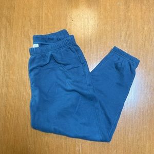 Mens Tapered Blue Gap Sweatpants